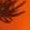 Realtree Blaze