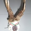 Rehbockjagd in Ungarn im Raum Budapest