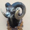 Pauschalangebot auf Widder 2018
