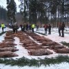 Jagdangebote für die Jagdsaison 2017-2018