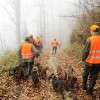 Drückjagden in Tschechien und Kroatien