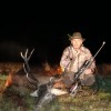 Hirschjagd in Ungarn Zur Hauptbrunft!