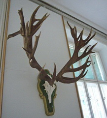 in voller Größe<small>© M.S.</small>