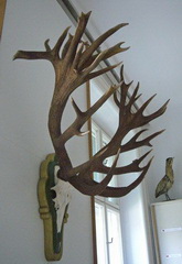 in voller Größe<small>© M.S.</small>