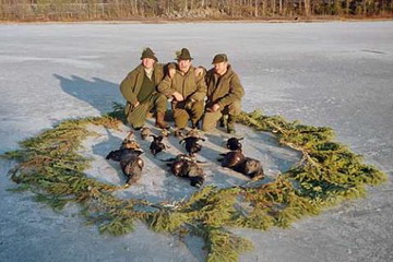 Gute Strecke nach drei anstrengenden Jagdtagen<small>© F. L.</small>