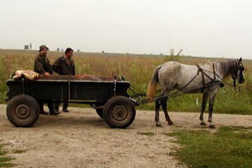 Jäger mit Jagdgehilfen und Pferdewagen bereit für die Pirsch auf den Rehbock<small>© H. R.</small>