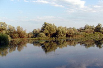 Landschaftsimpression Donaudelta<small>© H.R.</small>
