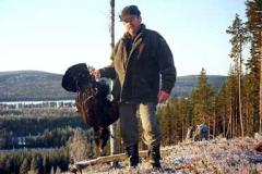 Erfolgreiche Jagd in Lappland