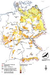 Der Rothirsch stößt an Deutschlands Grenzen