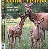Wild und Hund Ausgabe 12/09: Thema Geruchstarnung