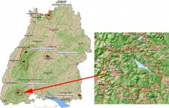 Rotwild im Südschwarzwald - Konzeption eines integrativen Rotwild-Managements