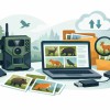 Wildkamera Bilder richtig verwalten – so wird aus Datenmenge echte Revierkenntnis