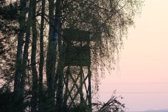 Weidwerk im Wandel