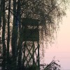Weidwerk im Wandel