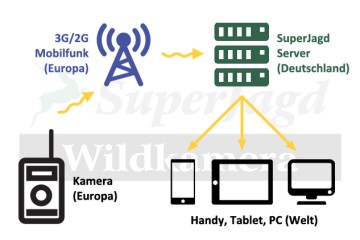 Wildkamera Service