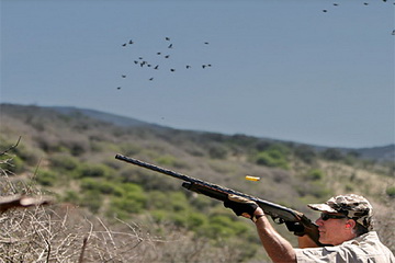 Argentinien - Dove Shooting