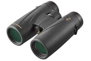 Leupold® BX-4 McKinley™ HD 8x42