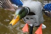 MOJO Elite Series™ KING MALLARD motorbetriebe Lockenten